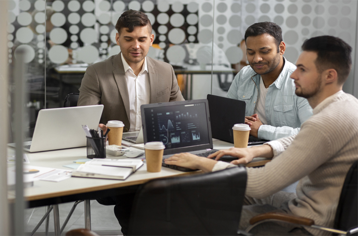 ITEPIK Consulting Services